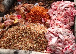 bear baiting staple foods