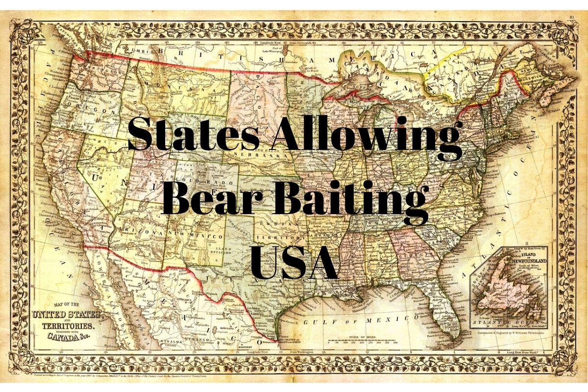 States Allowing Bear Baiting USA