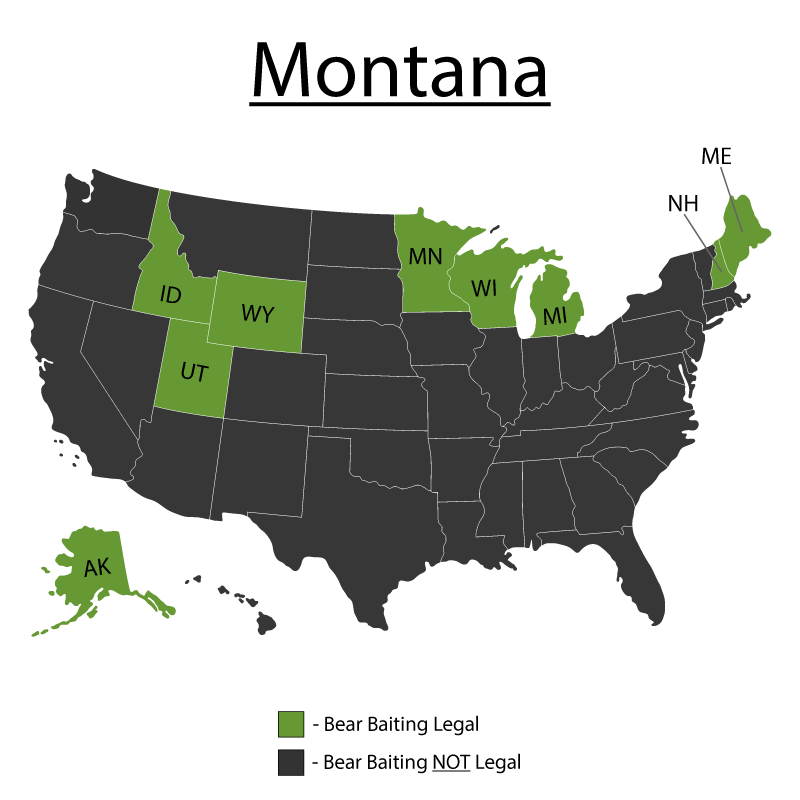 Montana Bear Baiting Tips Map