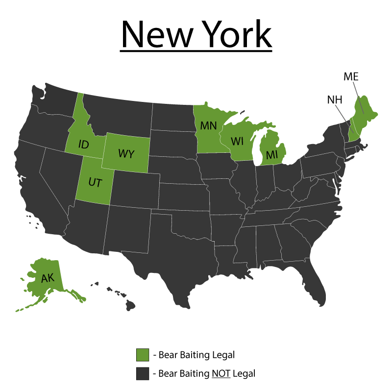 New York Bear Baiting Tips Map