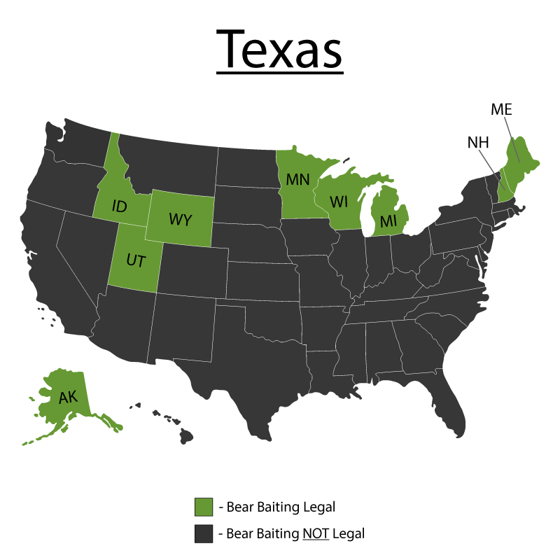 Texas Bear Baiting Tips Map