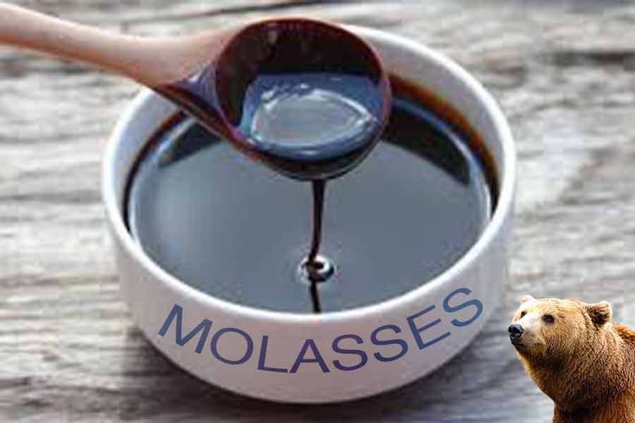 Can Molasses Supercharge Your Bear Bait?