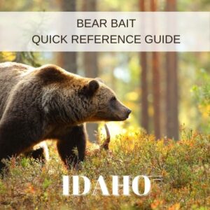 idaho bear
